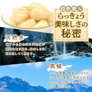 ふるさと納税 ちょっと大粒　色白美人らっきょう　国産無添加　１kg 山梨県北杜市