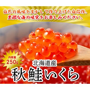 ふるさと納税 北海道産いくら 250g 鮭いくら 秋鮭 北海道鹿部町