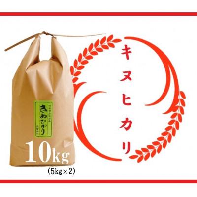 ふるさと納税 竜王町 令和5年産　近江米