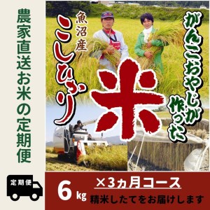 令和５年産新米がんこおやじが作った南魚沼産コシヒカリ白米６kg（３kg×２袋）