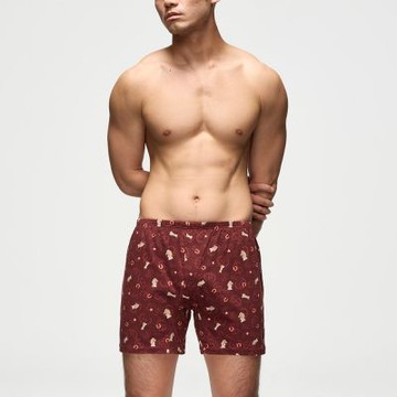 Mr.DADADO-財駿源輝 4L印花四角男內褲-絲光針織棉(深咖啡色)GHQ601T4