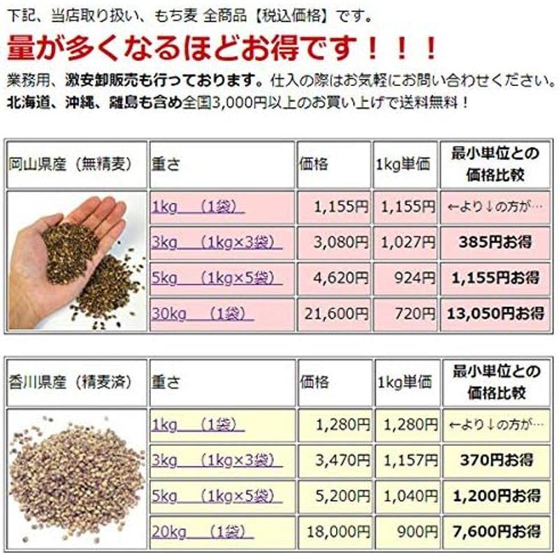 讃岐もち麦 ダイシモチ 1kg 国産 高栄養 紫もち麦ごはん 人気 1キロ 香川県産