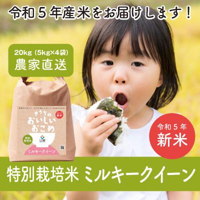 ふるさと納税 稲敷市 特別栽培米　稲敷市産ミルキークイーン20kg(5kg×4袋)