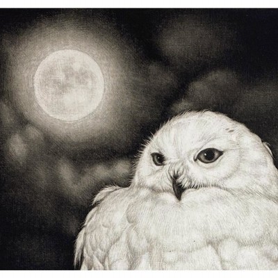 生田宏司「Full Moon」銅版画 メゾチント 額装 満月 フクロウ