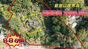 獨家獨賣豐原2289.9坪農地有路有水有電｜台中市豐原區下南坑段
