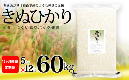 きぬひかり 白米 5kg×12回 12ヶ月連続 定期便 60kg 真空パック キヌヒカリ 米 簡易梱包 エコ梱包