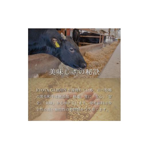 ふるさと納税 徳島県 徳島市 匠霜降りすき焼きセット　約1kg（約500g（250g×2）×2種類）