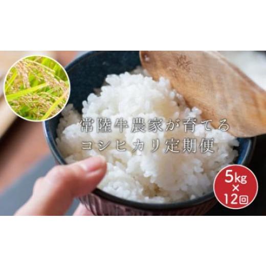 ふるさと納税 茨城県 那珂市 常陸牛農家が育てるコシヒカリ 5kg×12回（令和５年度産）