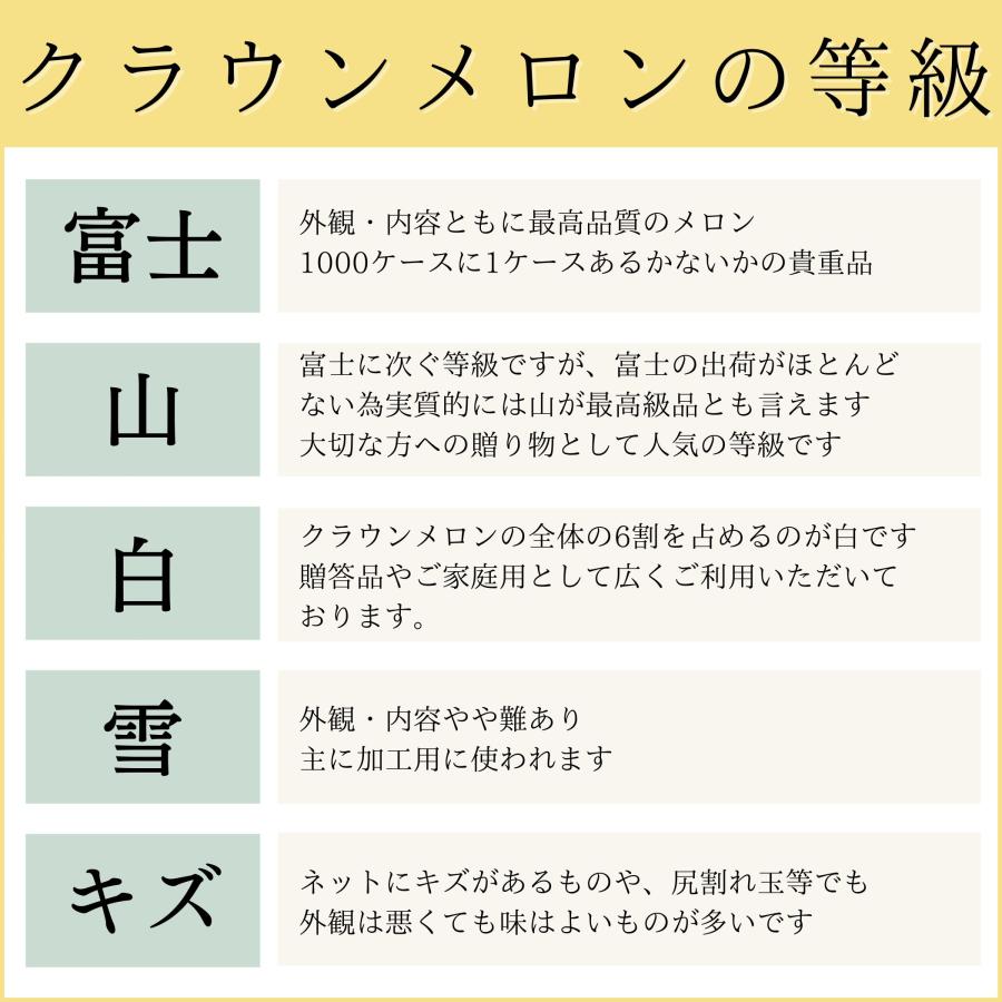 メロン マスクメロン 静岡県産 マスクメロン 1玉入  果物 くだもの 贈答 ギフト プレゼント 御祝 御礼 内祝 お供え 手土産