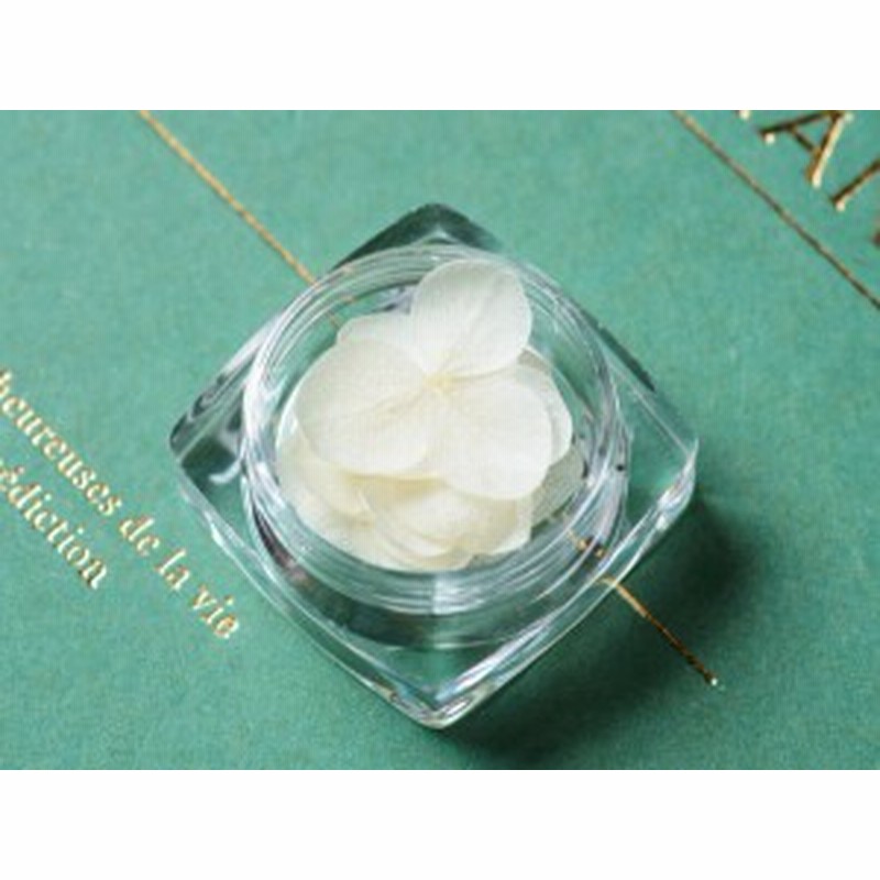 ドライフラワー あじさい 黄白 アイボリー 紫陽花 レジン 封入 材料 レジンパーツ ハンドメイド 通販 Lineポイント最大6 0 Get Lineショッピング