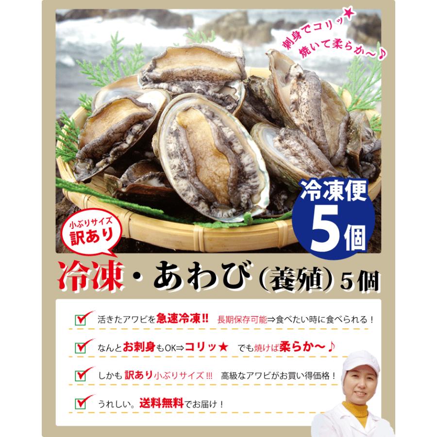 あわび アワビ 鮑 活 5個入り (1個50-60g) (養殖) プレゼント ギフト 刺身 海鮮丼 海鮮バーベキュー BBQ バーベキュー お取り寄せ ((冷凍))