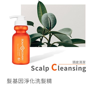 【髮基因】淨化洗髮精300ml