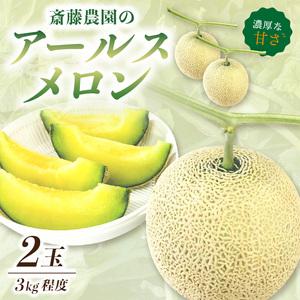 ふるさと納税 斎藤農園のアールスメロン(マスクメロン)2玉3kg程度≪先行予約2024年6月下旬以降発送分≫ 和歌山県御坊市