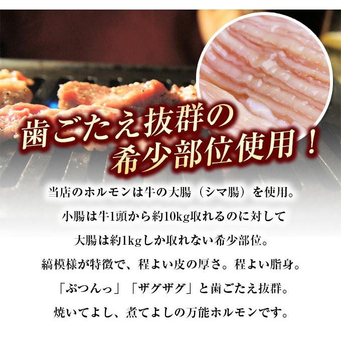 ホルモン 1kg  (500g×2) 訳あり シマチョウ てっちゃん もつ 肉 焼肉 送料無料 お取り寄せ グルメ ギフト 食品 味噌 タレ