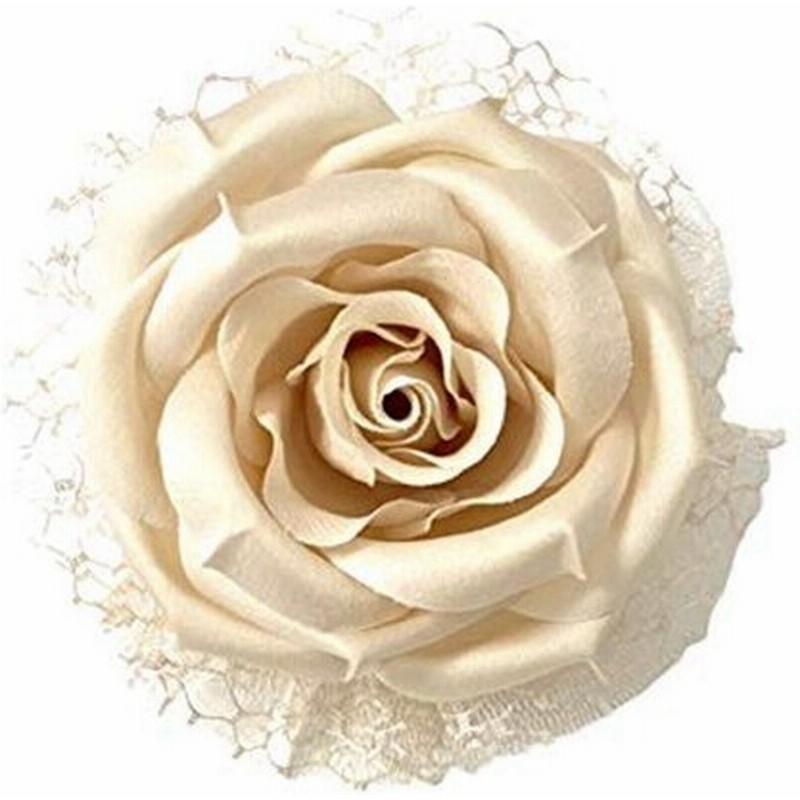 Ajmstyle ローズ コサージュ パール レース バラ 髪飾り 2way クリップ フォーマル ブローチ ヘアアクセサリー ケース 入り 通販 Lineポイント最大0 5 Get Lineショッピング