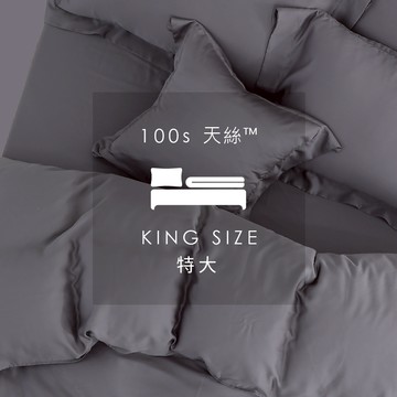 AnDHouse 天絲100支-太空灰色系 隕石灰 | 組合 特大床包被套組