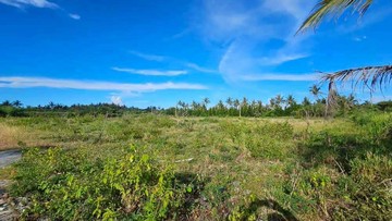 【專】東河鄉近海百米湧泉美地 B1125｜台東縣東河鄉佳里段