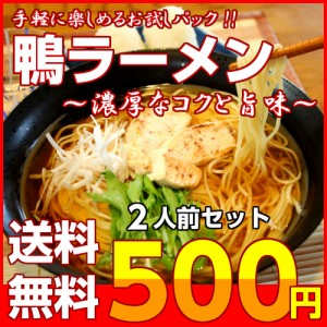 醤油ラーメン 鴨南蛮風味 お取り寄せ お試し 2人前 セット 鴨エキス ネギ 旨味 つるつる ノンフライ製法 中華麺 ポイント消化 500円