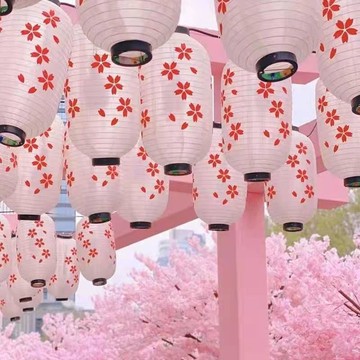💥夯爆了💥日式和風櫻花燈籠日本料理餐廳裝飾紅白戶外燈籠日式裝飾牆面