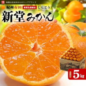 有田みかん 新堂みかん 嘉七 他1名 赤秀 (約5kg) 和歌山 有田産 生産者限定 贈答用 蜜柑 食品 フルーツ 果物 早生 みかん ミカン mikan m