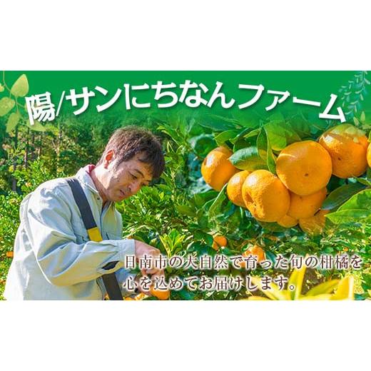 ふるさと納税 宮崎県 日南市 数量限定『日南市産ポンカン(Mサイズ)計4.5kg以上』傷み補償分200g付き　フルーツ　果物　柑橘　ぽんかん　みかん　国産 BA45-23