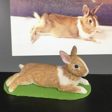 客製化 草地上的趴兔