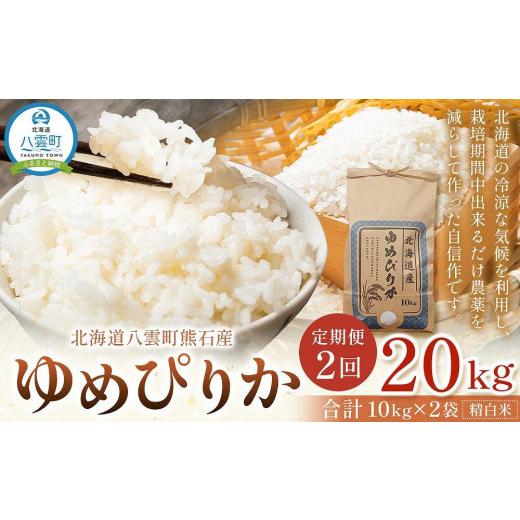 ふるさと納税 北海道 八雲町 〈2回定期便〉北海道八雲町熊石産 ゆめぴりか(精白米) 10kg