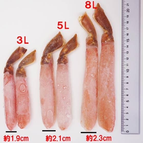 生ズワイガニかにしゃぶポーション 5L 500g 15本前後 カニしゃぶセット