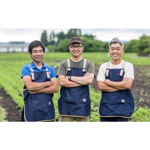 ふるさと納税 岩手県 花巻市 花巻産まるごと野菜ドレッシング3本セット 