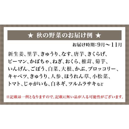 ふるさと納税 岡山県 井原市 旬の農産物（野菜・果物など）詰合せ