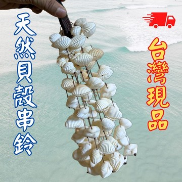【自然屋精品】貝殼 貝殼手搖鈴 貝殼串鈴 串鈴 海洋 大海 音療冥想 配樂演奏 冥想 瑜伽 打坐 音樂療愈 手搖鈴 樂器