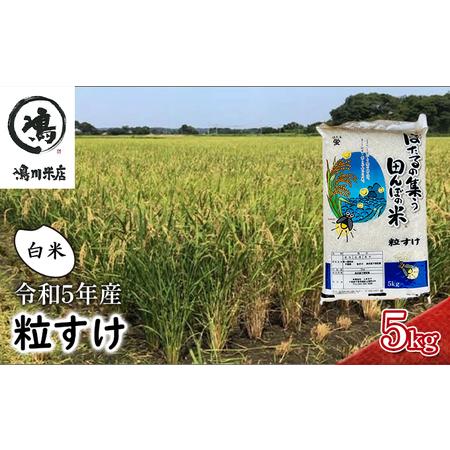 ふるさと納税 米 令和5年 新品種 粒すけ 5kg 千葉産 白米　 千葉県千葉市