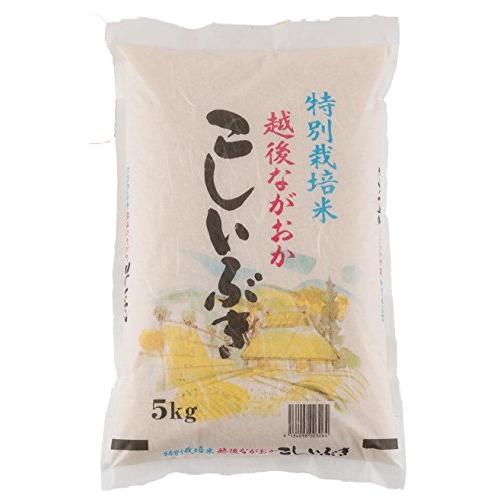 新米 精白米 5kg 新潟県産 こしいぶき 安心安全な特別栽培米 令和5年産(5kg)