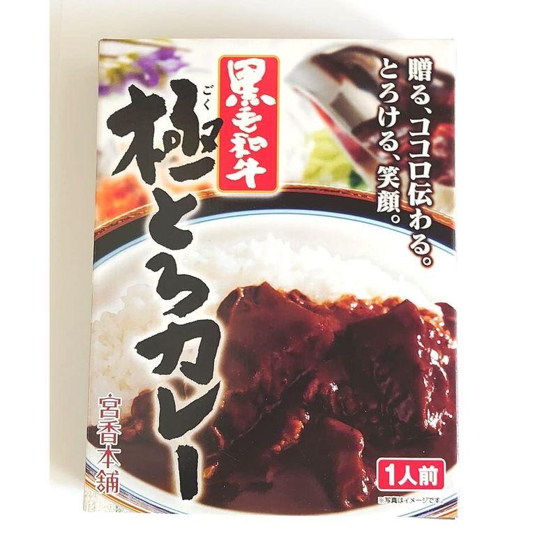 レトルトカレー 黒毛和牛 極とろカレー 中辛 200ｇ 10パック