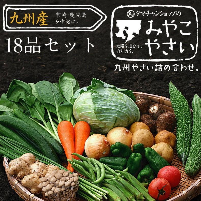 野菜セット 九州産 18品 宮崎産 やさい 産地直送 野菜 季節 旬 キャベツ トマト ピーマン かぼちゃ じゃがいも 小松菜 ほうれん草 お取り寄せ 送料無料