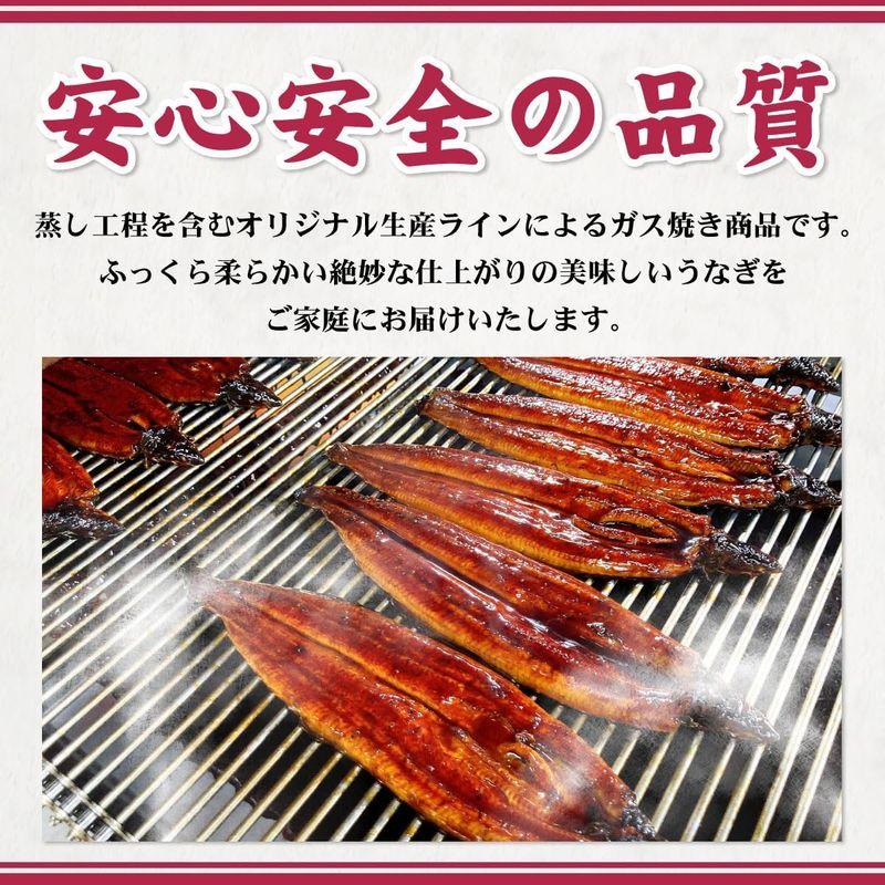 うなぎの蒲焼き 国産 愛知一色産 長焼 約130g×2尾 鰻まぶしセット 50g×2食 タレ・山椒・ダシ付き 個包装 真空パック 贈答品 ギ