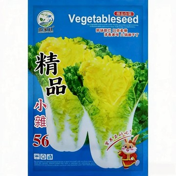 【原廠包裝】正宗北京小雜56種子（Beijing Xiaza 56）3克裝 包心白菜/小白菜/小松菜 快速採收30天