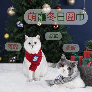 【現貨✔️】 ZEZE 萌寵冬日圍巾 🇰🇷 貓咪圍巾 狗狗圍巾 項圈裝飾