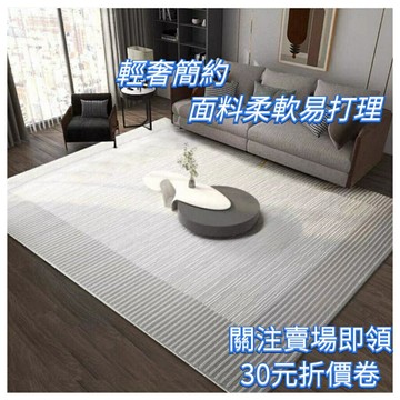 熱銷活動款 2023新款 灰色高級 輕奢極簡風 現代簡約 大客廳地毯 沙發茶几墊子 客廳地毯 大地毯　可訂製