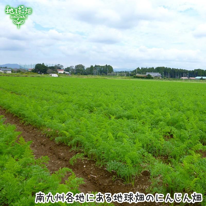 人参 9kg 有機栽培 鹿児島県産 宮崎県産 有機JAS認証 洗い にんじん ニンジン organic 無農薬 化学肥料・農薬不使用 カロテン 常温便