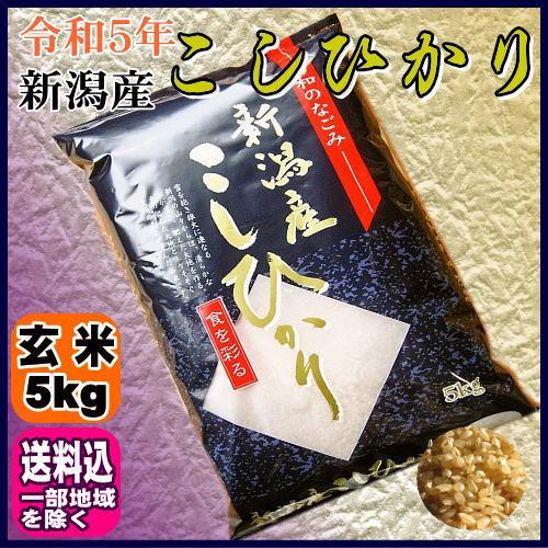 令和5年 新潟県産 こしひかり 玄米 5kg