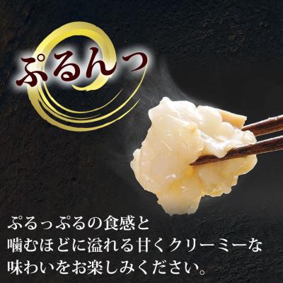 ふるさと納税 岡垣町 博多グルメ満喫!もつ鍋(味噌味醤油味)食べ比べ!と明太子のセット(岡垣町)