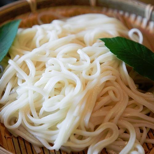 肝太くんうどん 10袋セット 有限会社 肝太・妙高西条農園 ギフトにも！ のし無料 送料無料