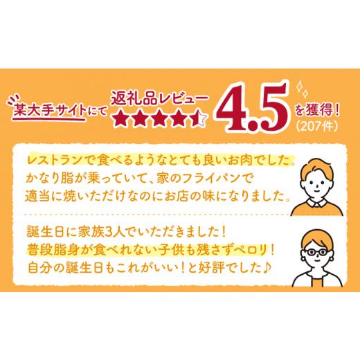 ふるさと納税 佐賀県 嬉野市  4月発送 佐賀牛 ロース ステーキ 500g 2切 NAB004