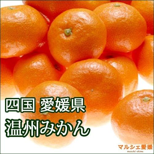 みかん 訳あり 家庭用 箱買い 温州 可品 1キロ サイズ混合 風すれ 愛媛みかん