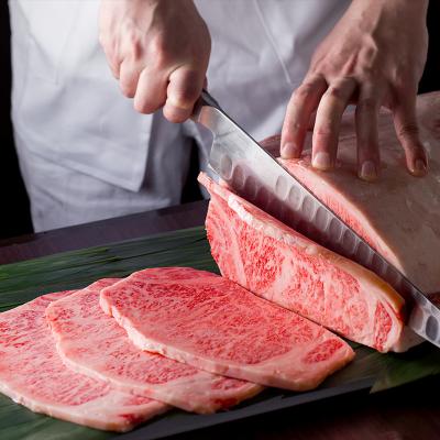 ふるさと納税 京都市 京の肉 カルビ(1000g)〈天壇特製たれ付き焼肉セット〉