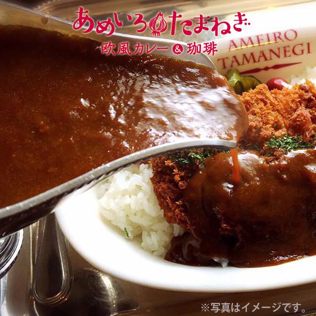 送料無料　剛家カレー　あめいろたまねぎ　本格カレールゥ　3人前×9パック　　メーカー直送　同梱不可代引不可