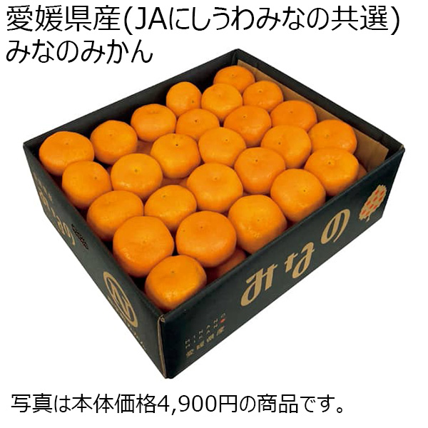 愛媛県産(JAにしうわみなの共選) みなのみかん (お届け期間：11 21〜12 31) 