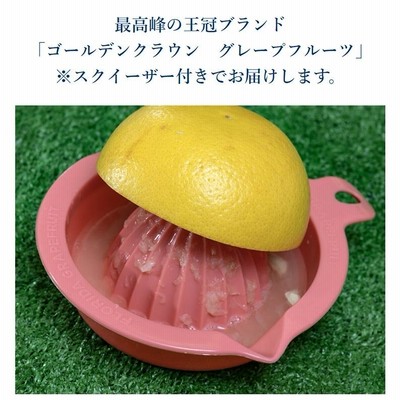 ホワイト約10kg】フロリダ産グレープフルーツ・ ゴールデンクラウン