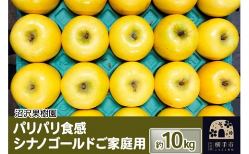 パリパリ食感シナノゴールド ご家庭用 約10kg（28～46玉前後）